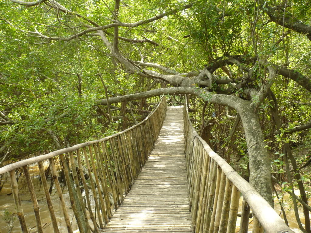 khu du lịch cầu treo buôn đôn - Hình 5