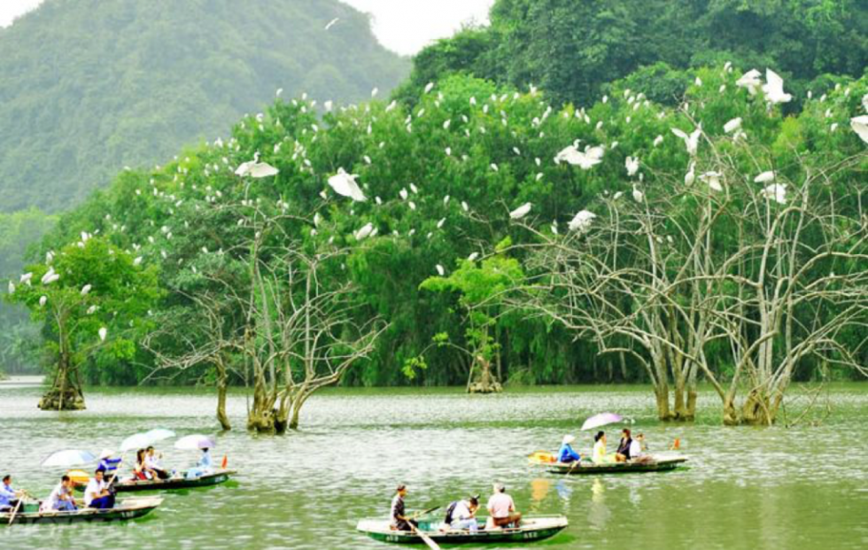 khu du lịch cồn chim - Hình 4