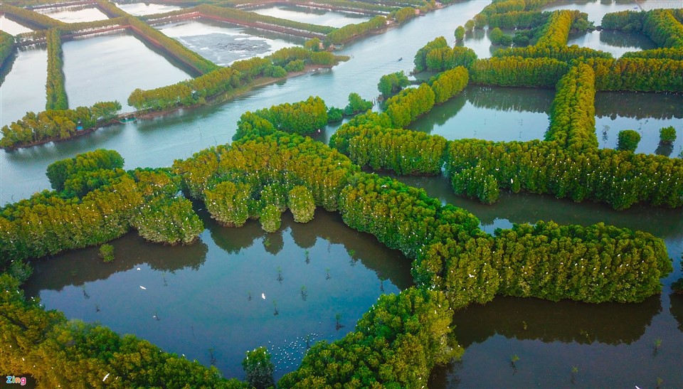 khu du lịch cồn chim - Hình 1