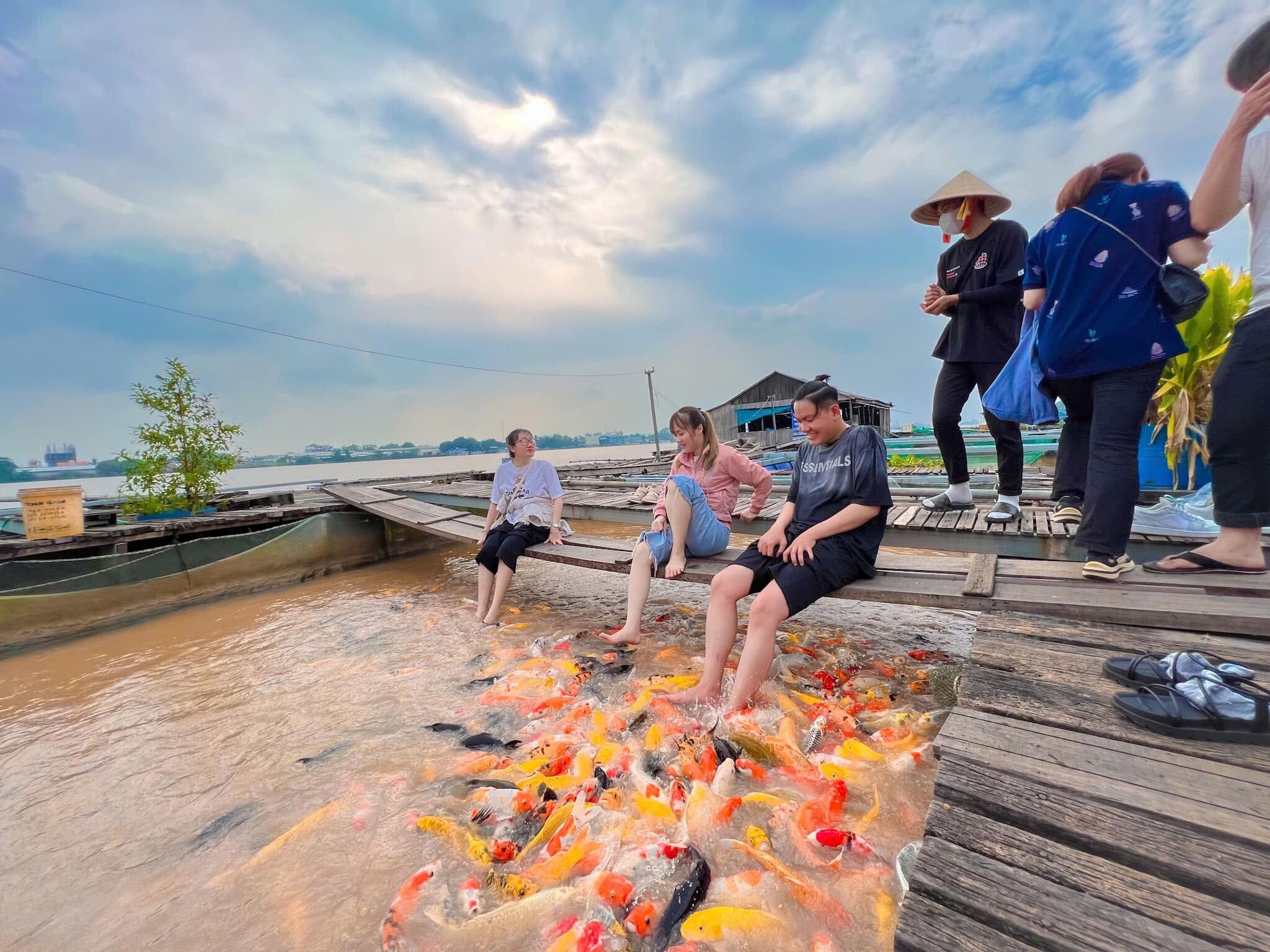 khu du lịch cồn sơn - Hình 1