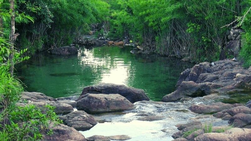 khu du lịch dầu tiếng - Hình 3
