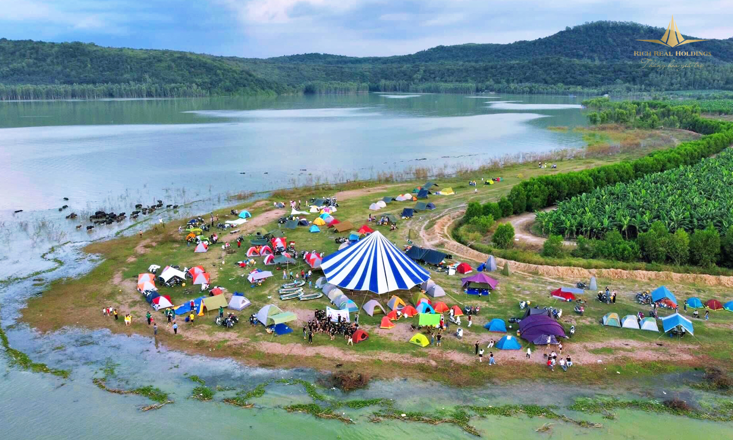 khu du lịch dầu tiếng - Hình 1