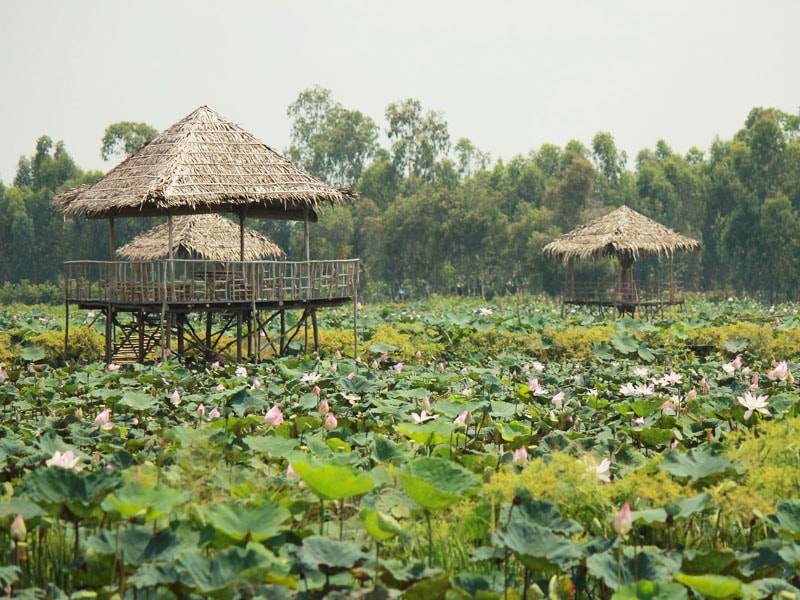 khu du lịch đồng sen tháp mười - Hình 3