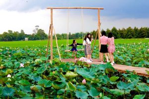 khu du lịch đồng sen tháp mười