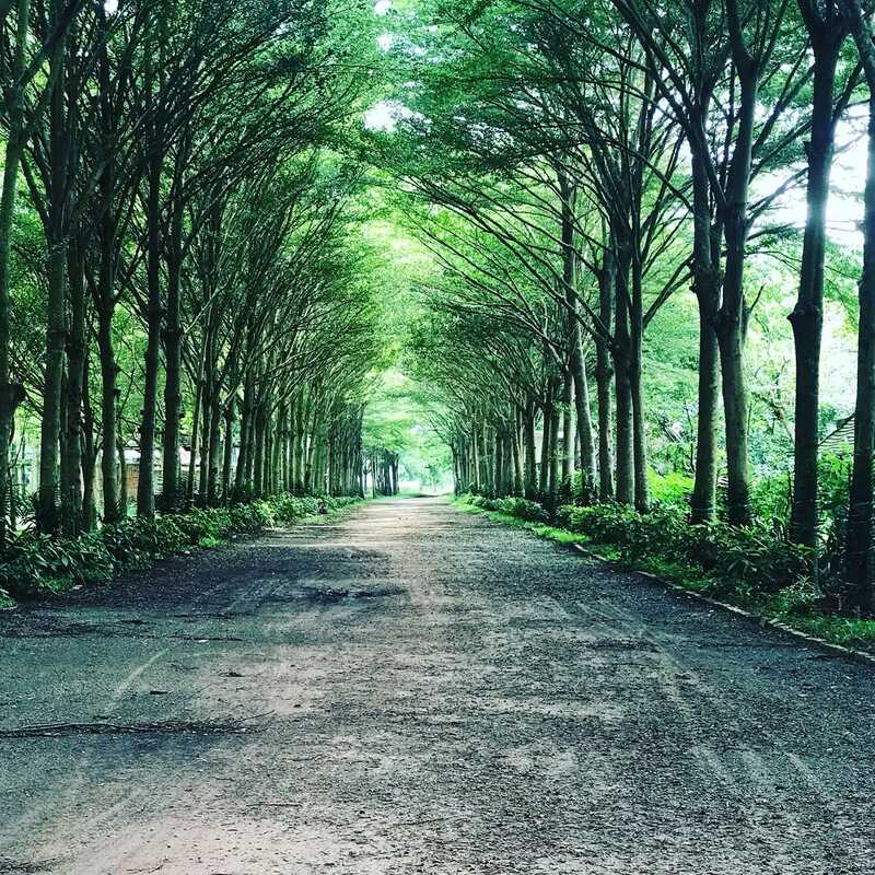 khu du lịch fosaco củ chi - Hình 3