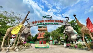 khu du lịch gần đây