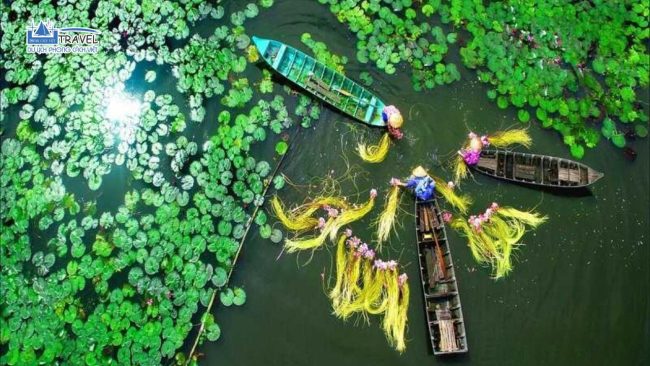 khu du lịch gáo giồng - Hình 2