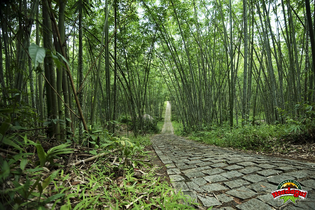 khu du lịch madagui - Hình 2
