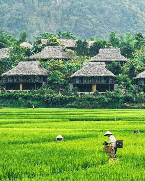 khu du lịch mai châu hòa bình - Hình 4
