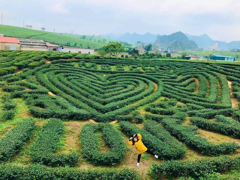 khu du lịch mộc châu - Hình 1