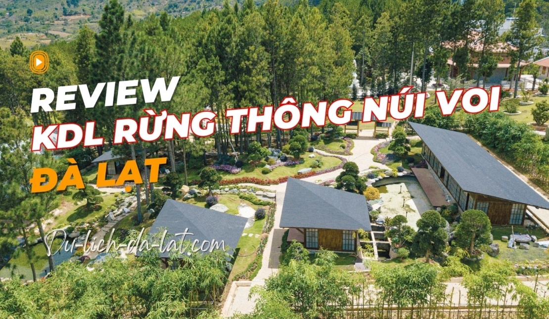 khu du lịch rừng thông núi voi giá vé - Hình 5