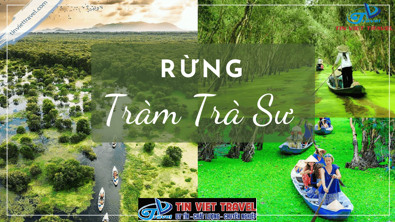 khu du lịch rừng tràm trà sư - Hình 2