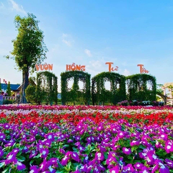 khu du lịch sa đéc - Hình 3