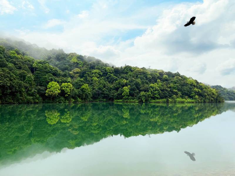 khu du lịch sinh thái bắc giang - Hình 4