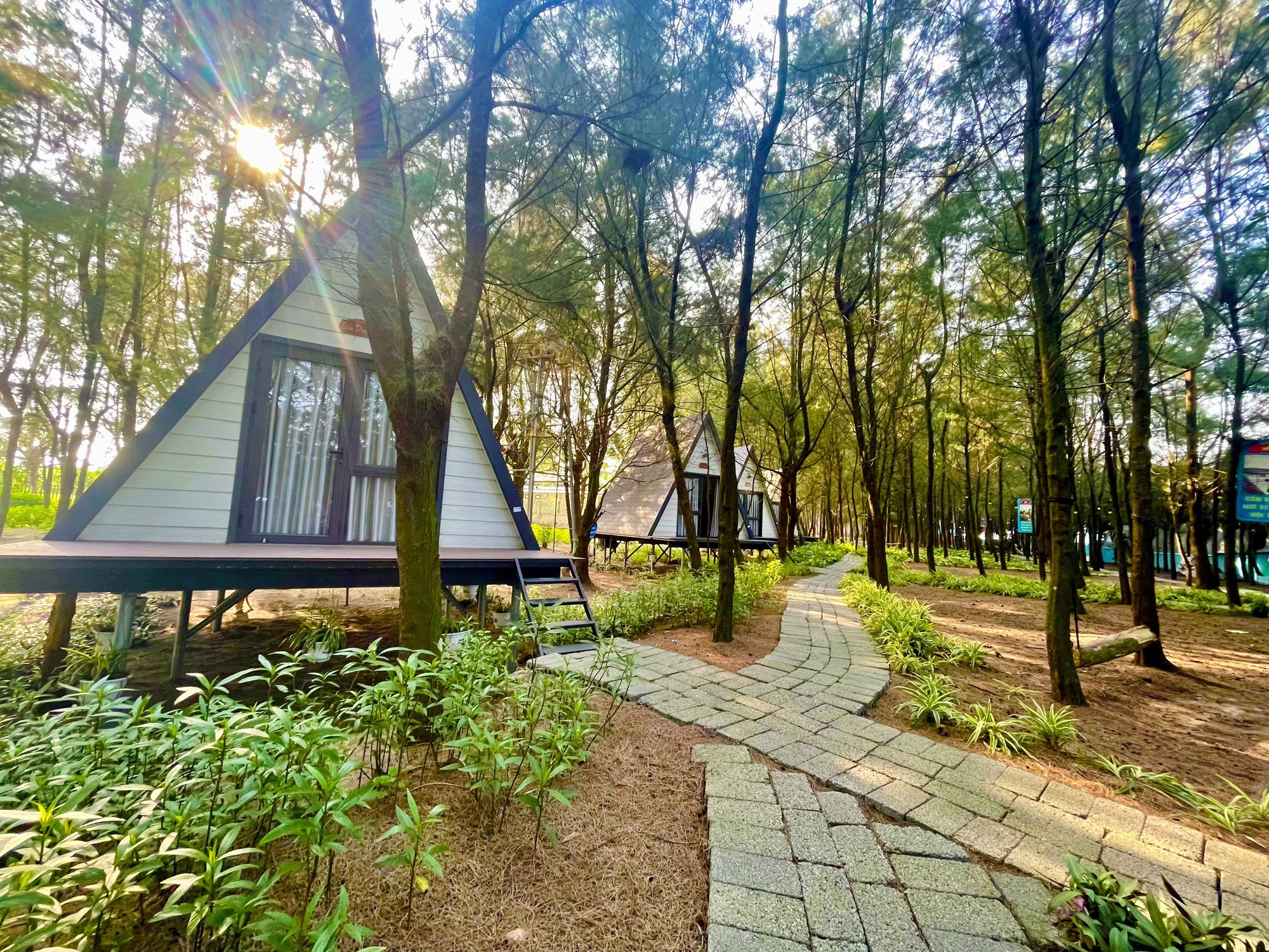 khu du lịch sinh thái biển cồn đen - Hình 2