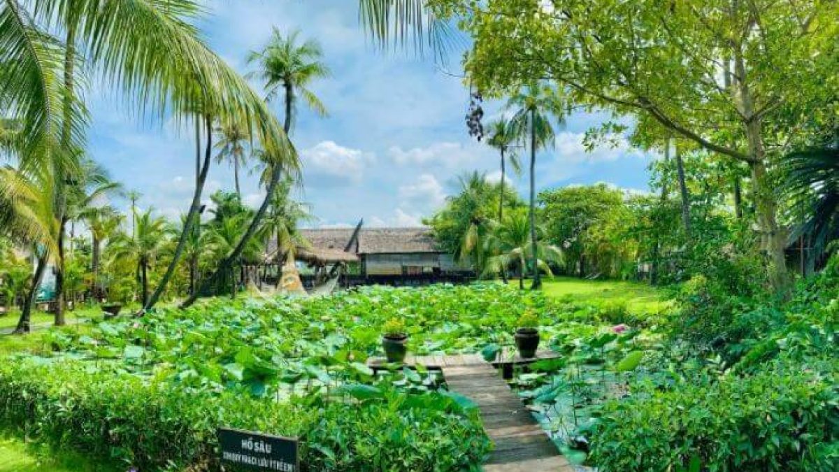 khu du lịch sinh thái bình quới - Hình 5