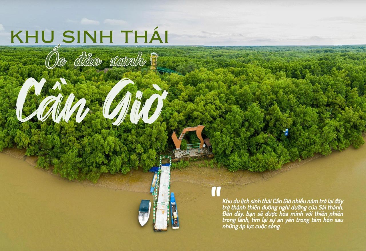 khu du lịch sinh thái cần giờ - Hình 4