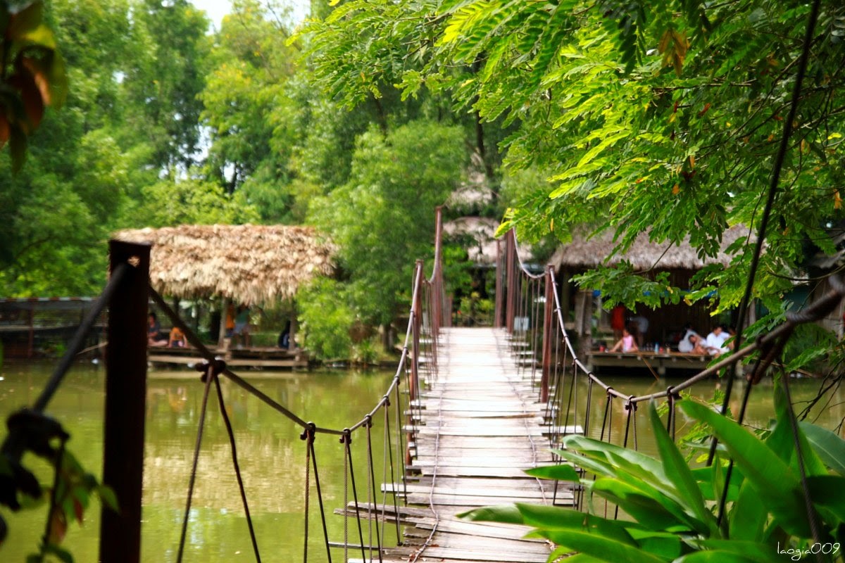 khu du lịch sinh thái cọ xanh - Hình 2