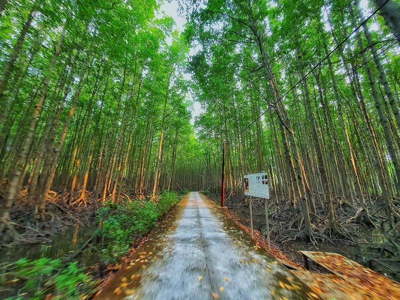 khu du lịch sinh thái dần xây - Hình 3