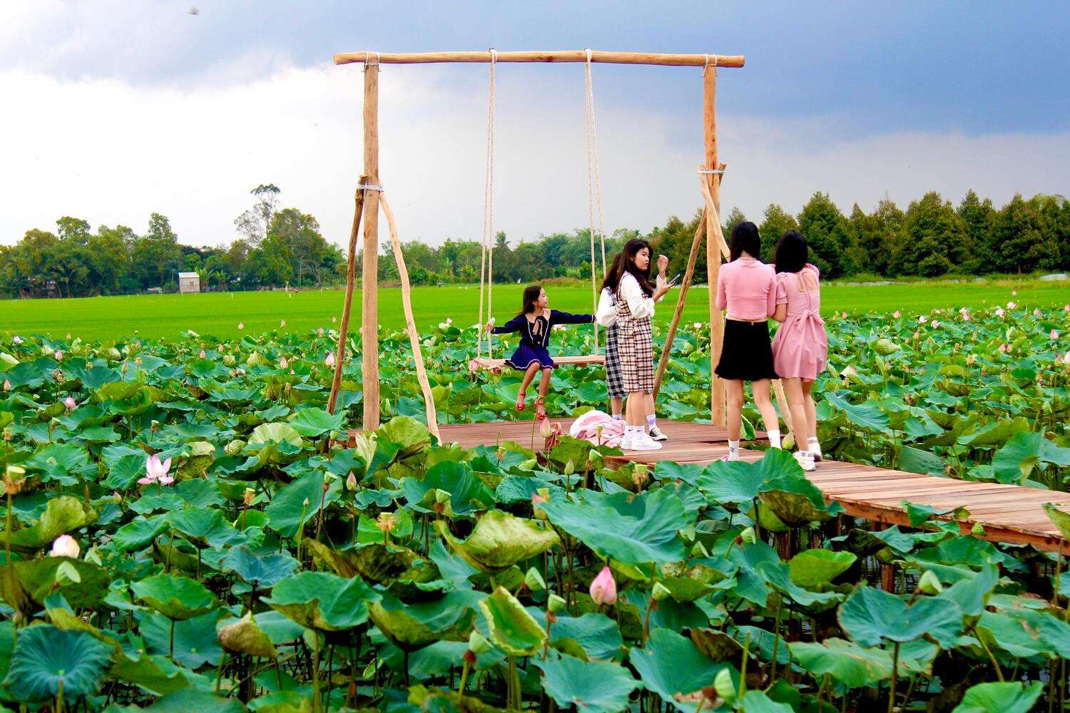 khu du lịch sinh thái đồng tháp mười - Hình 5
