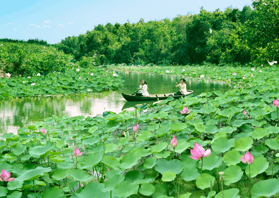 khu du lịch sinh thái đồng tháp mười - Hình 1
