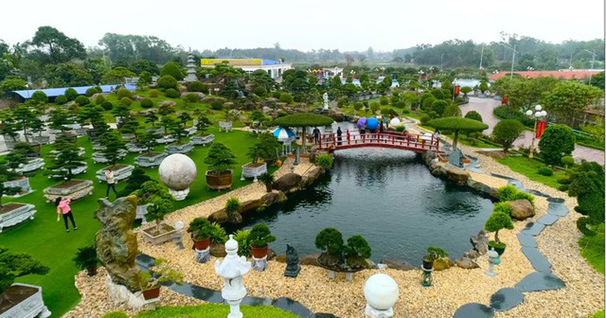 khu du lịch sinh thái dũng tân - Hình 2