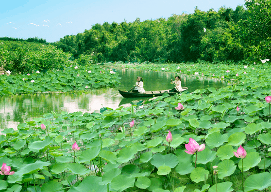 khu du lịch sinh thái gáo giồng - Hình 2