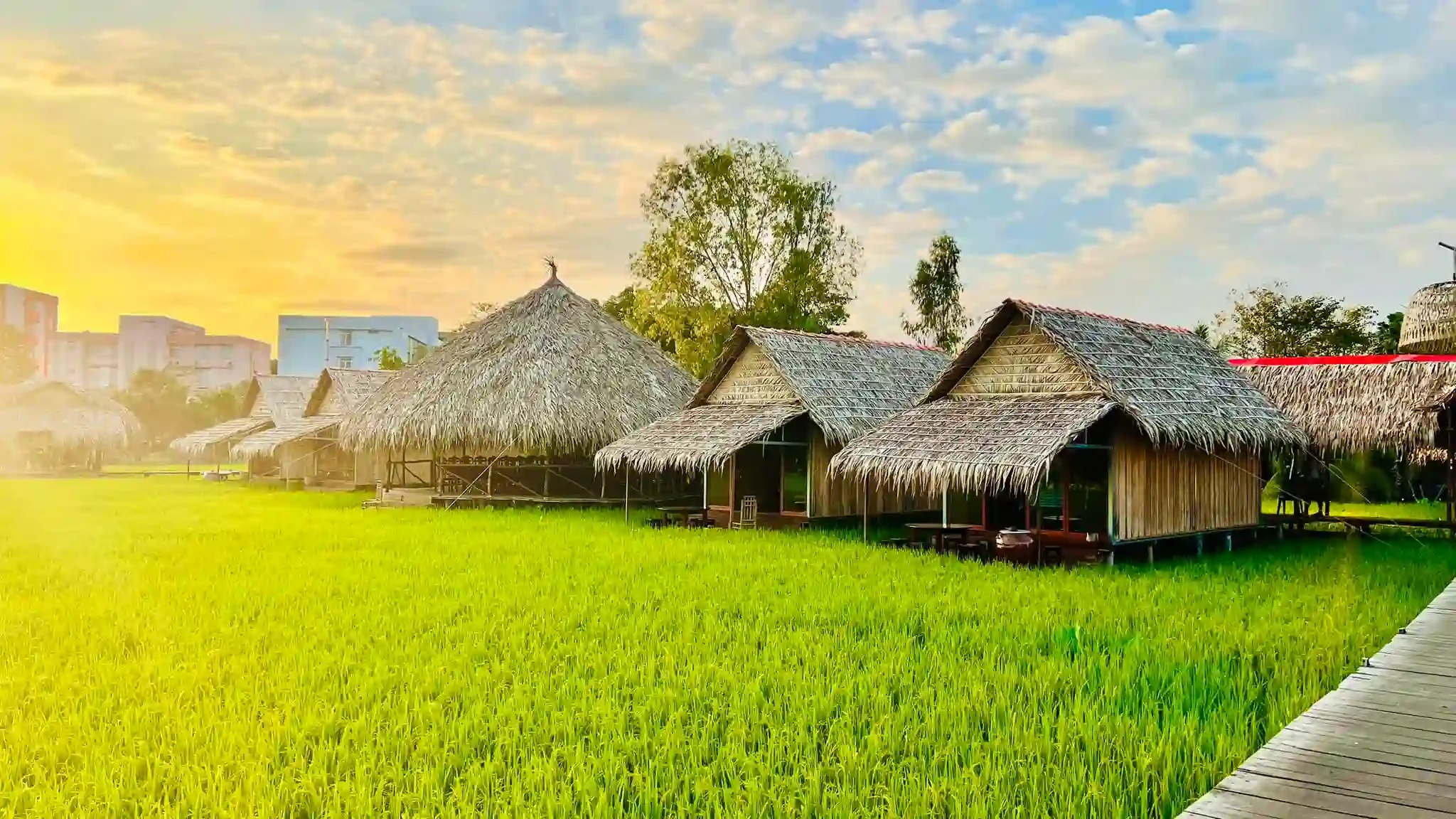 khu du lịch sinh thái mỹ phước thành - Hình 5
