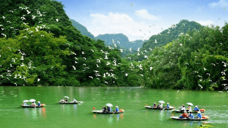 khu du lịch sinh thái ở thủ đức - Hình 2