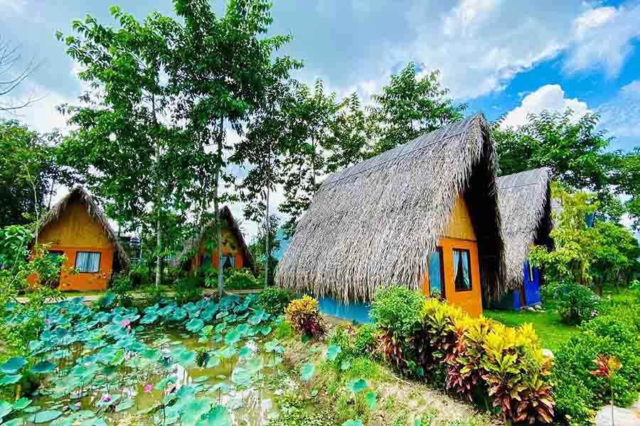 khu du lịch sinh thái quận 12 - Hình 1