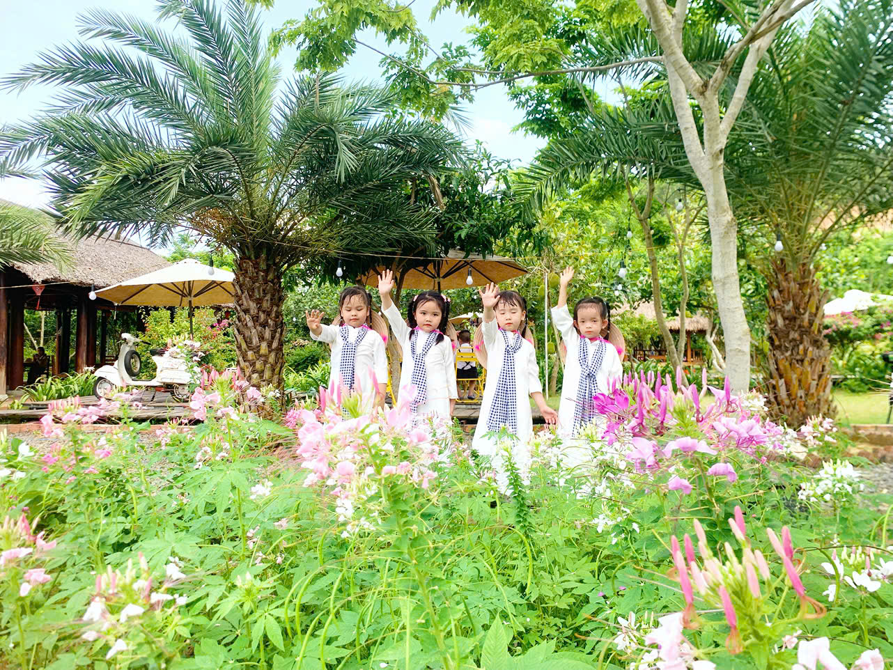 khu du lịch sinh thái sơn phước - Hình 2