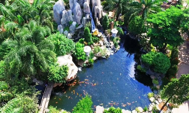 khu du lịch sinh thái vườn xoài ảnh - Hình 3