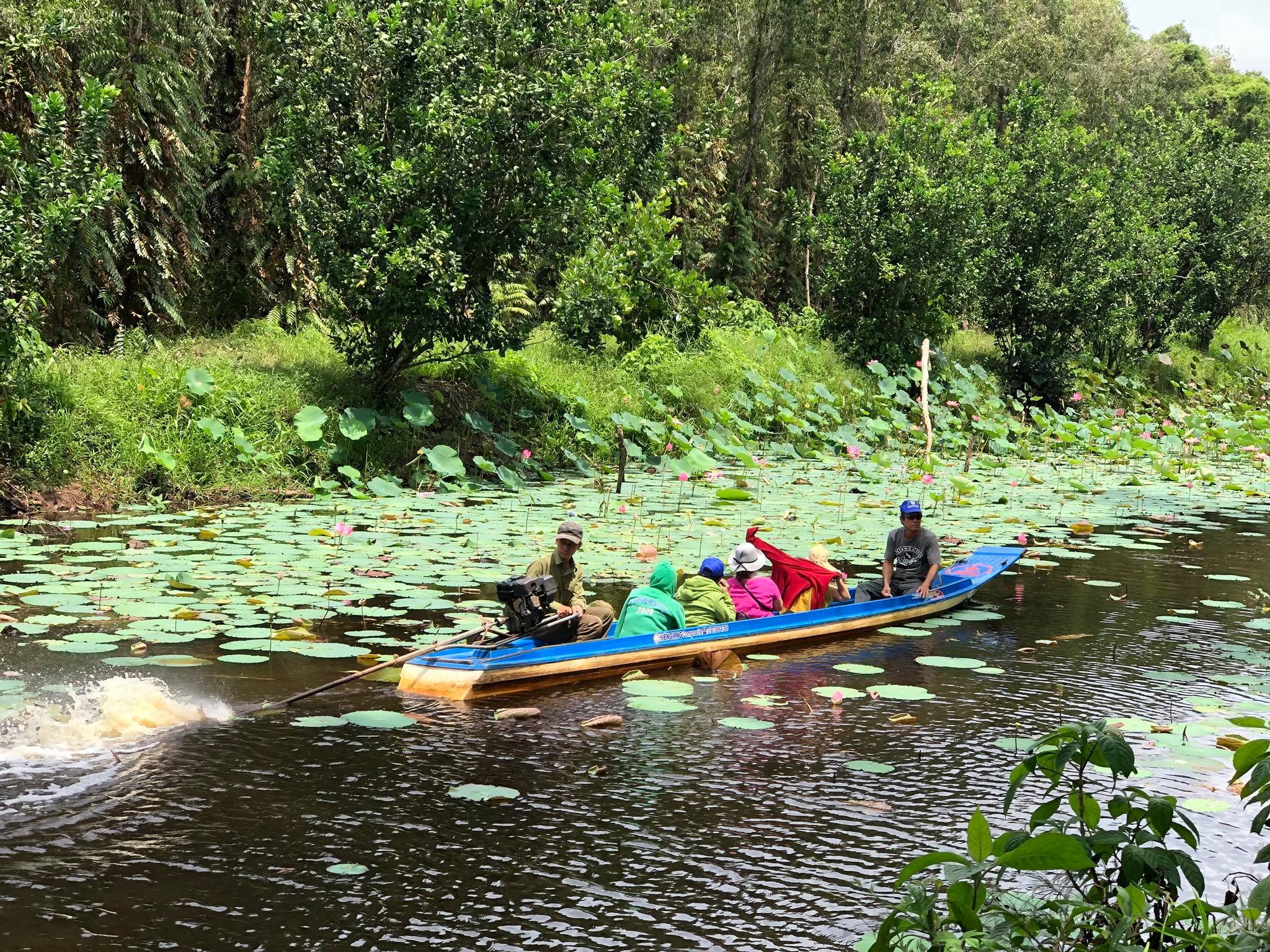khu du lịch sông trẹm - Hình 1