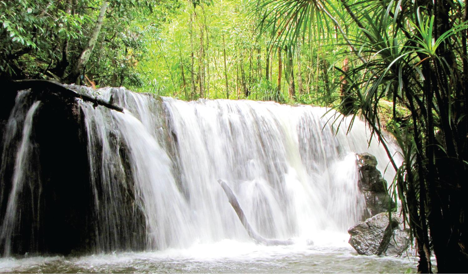 khu du lịch suối tranh - Hình 4