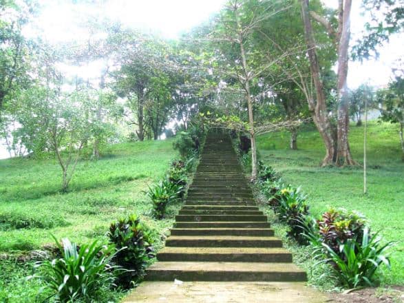 khu du lịch suối tre - Hình 2