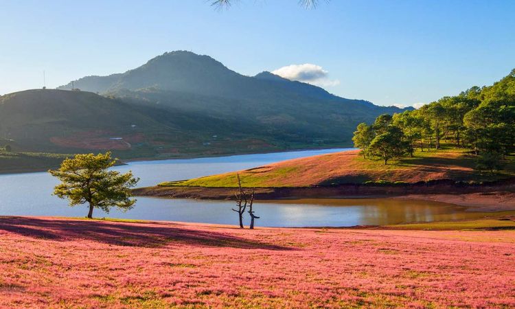 khu du lịch suối vàng đà lạt - Hình 2