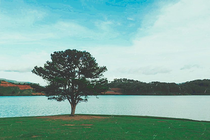 khu du lịch suối vàng đà lạt - Hình 5