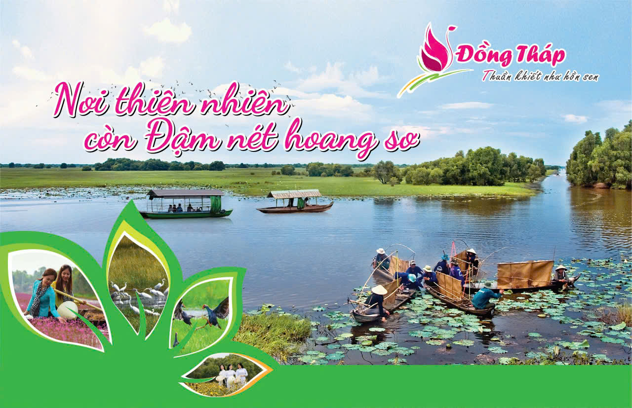 khu du lịch tràm chim - Hình 4