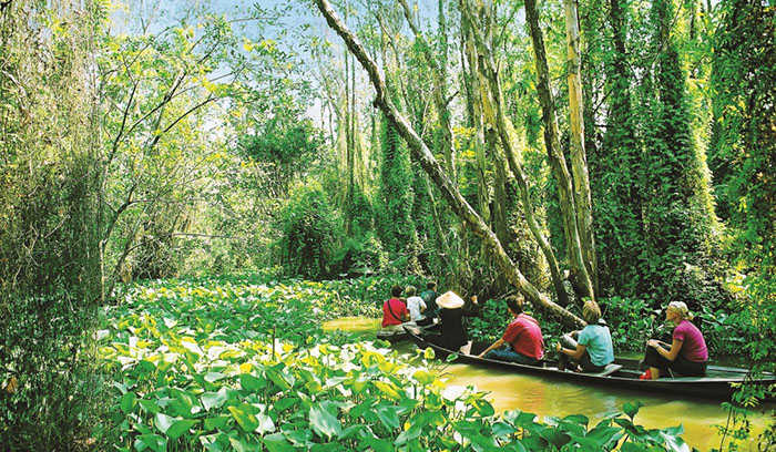 khu du lịch tràm chim đồng tháp - Hình 2
