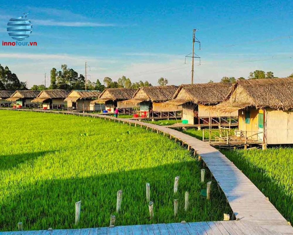 khu du lịch tràm chim đồng tháp - Hình 4