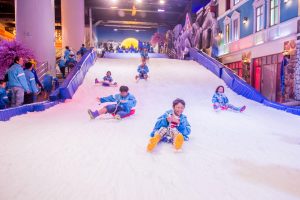 khu vui chơi tuyết snow town sài gòn
