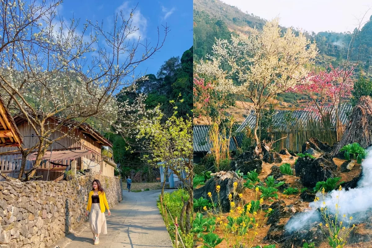 lô lô chải làng du lịch tốt nhất thế giới - Hình 4