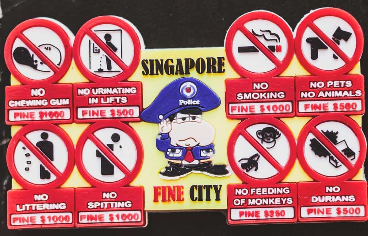 lưu ý khi đi du lịch singapore - Hình 2