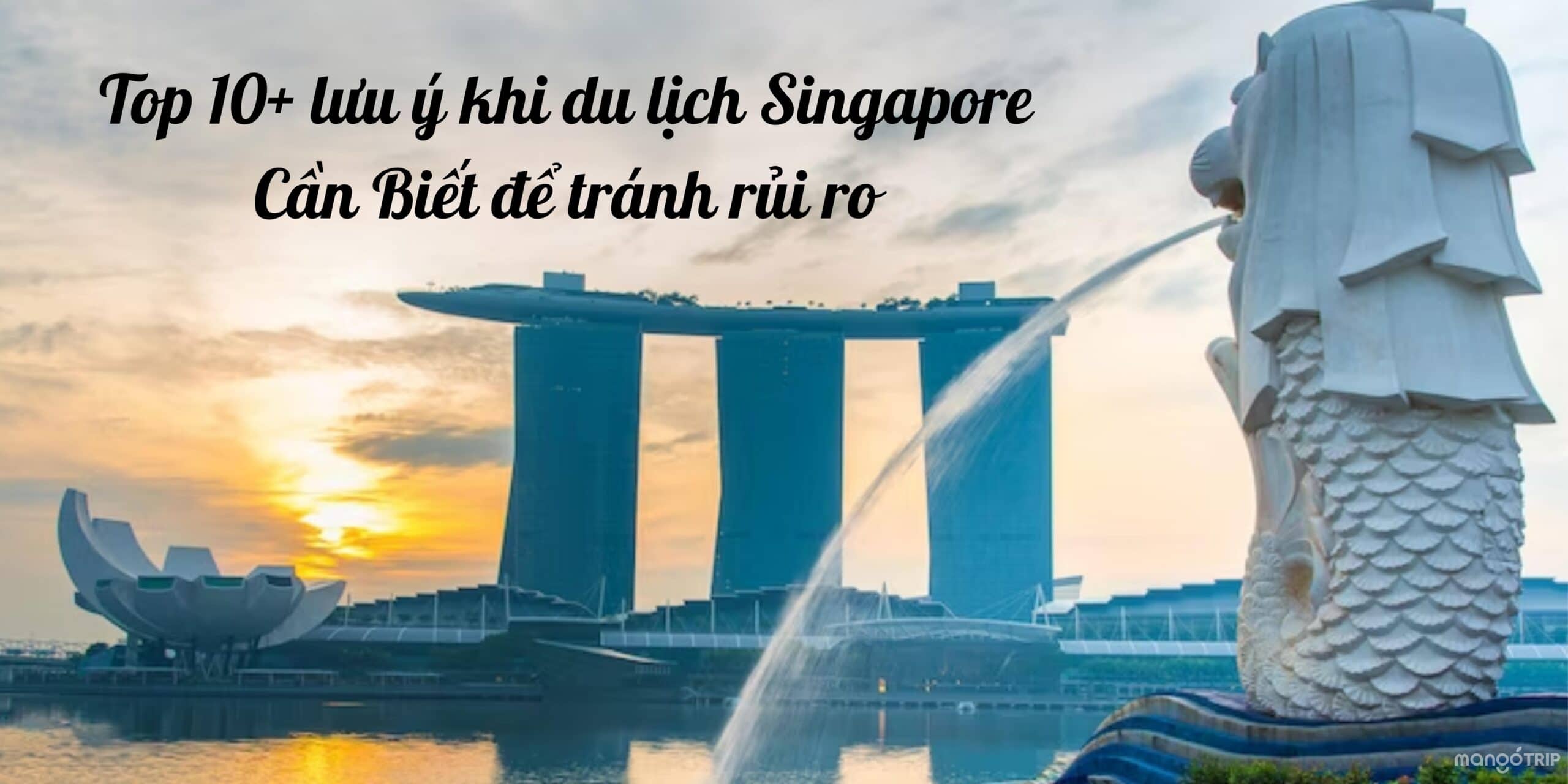 lưu ý khi đi du lịch singapore - Hình 5