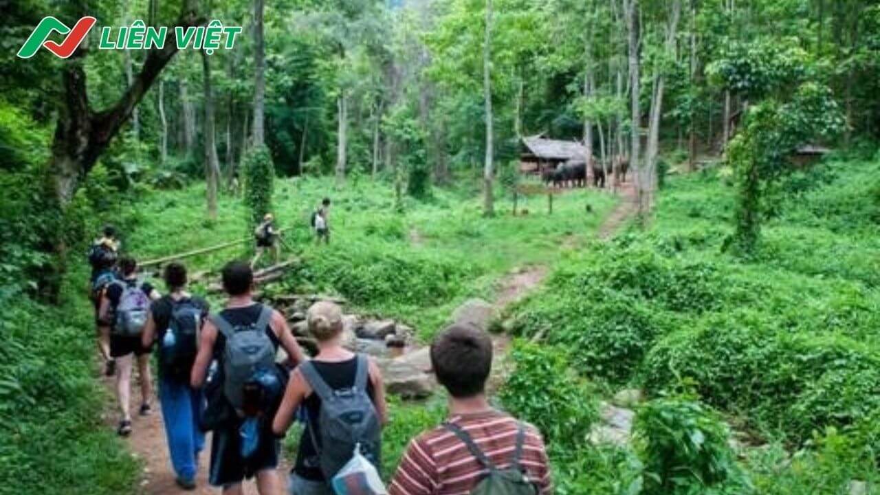mặt trái của nghề hướng dẫn viên du lịch - Hình 2