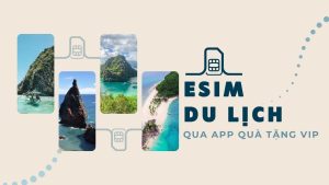 mua esim du lịch