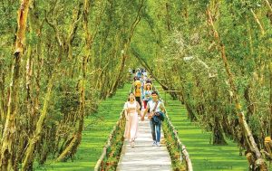 mùa hè nên đi du lịch ở đâu miền nam
