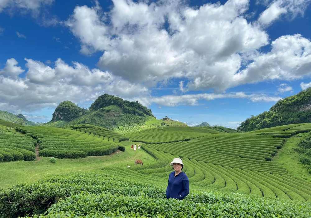 mùa này đi du lịch ở đâu đẹp - Hình 5