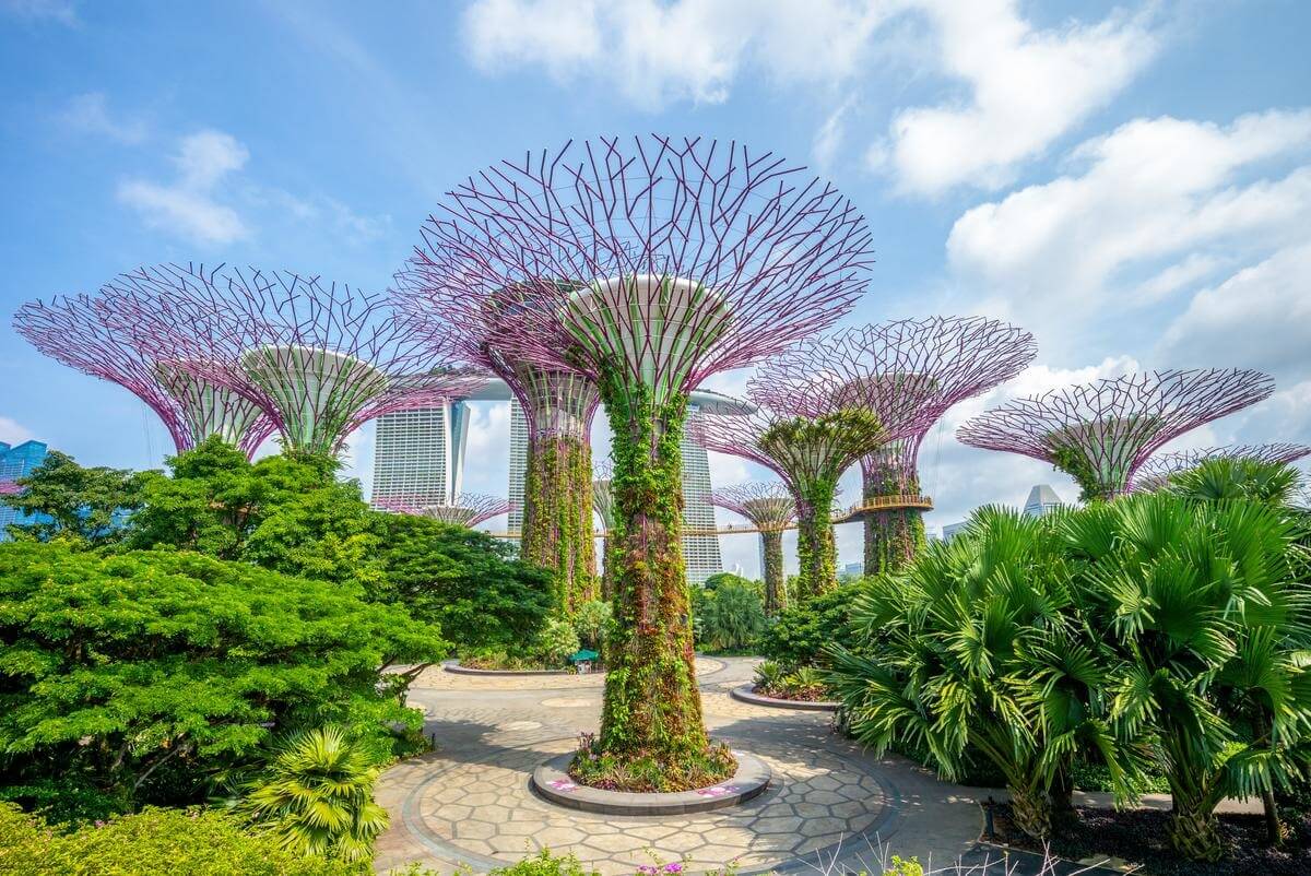 singapore du lịch - Hình 4