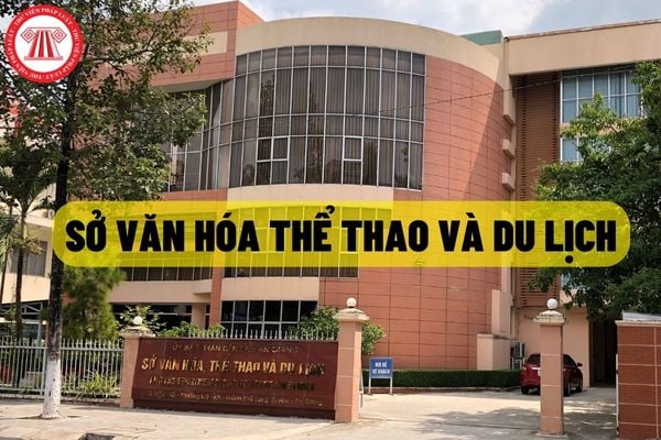 sở văn hóa thể thao và du lịch - Hình 1